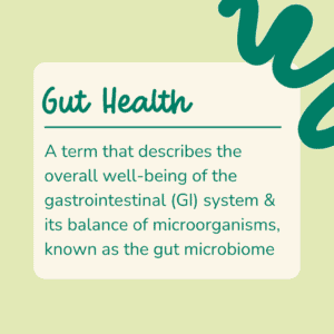 Gut health definition and explanation for chronic illness
